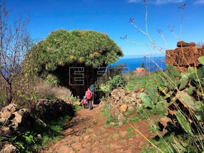 Imagen de archivo de un grupo de turistas caminando en Garafía por un sendero de la Red Insular de La Palma / EFE Miguel Calero